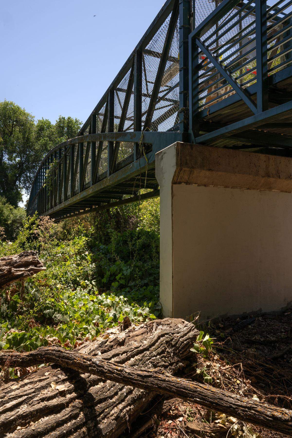 A pedestrian bridge over the Stanislaus River at Stouffer Park in Ripon , Friday July 18, 2025.
