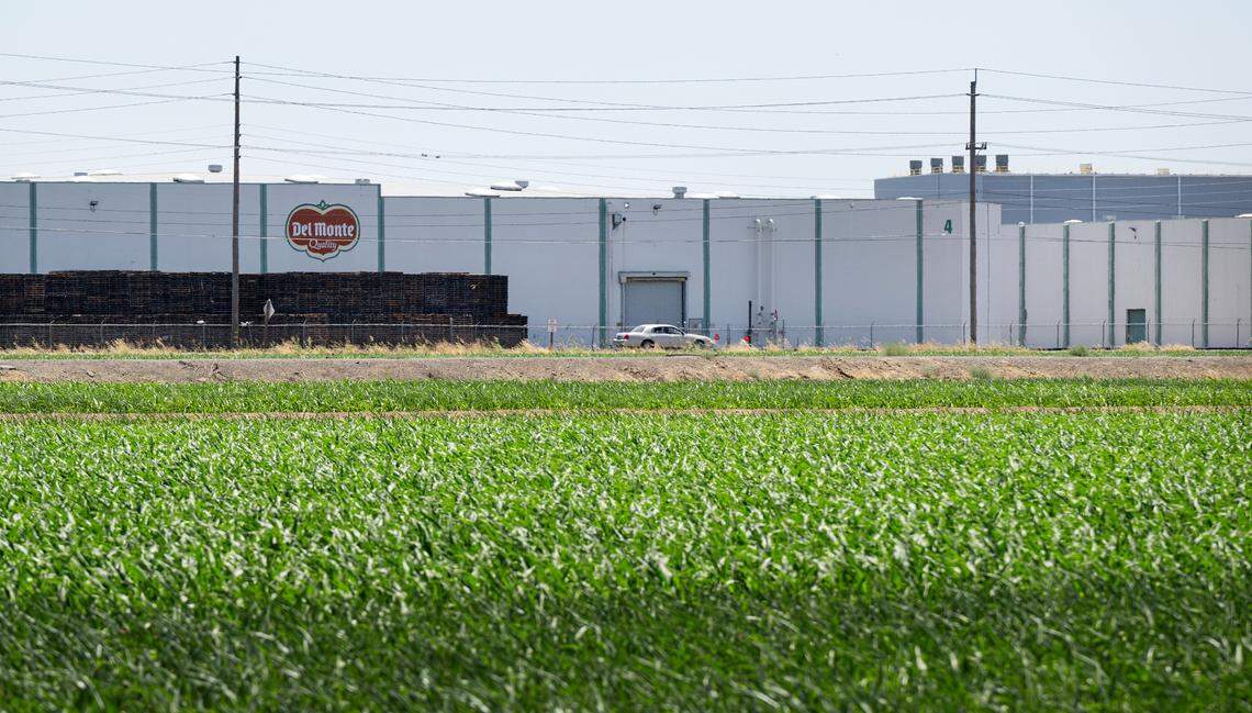 The Del Monte production facility in Modesto in 2025.