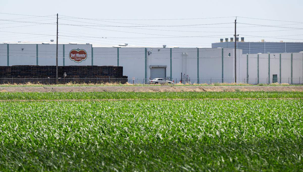 The Del Monte production facility in Modesto in 2025.
