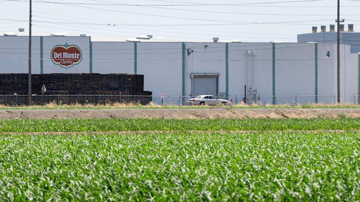 Del Monte production facility in Modesto, Wednesday, July 2, 2025. 