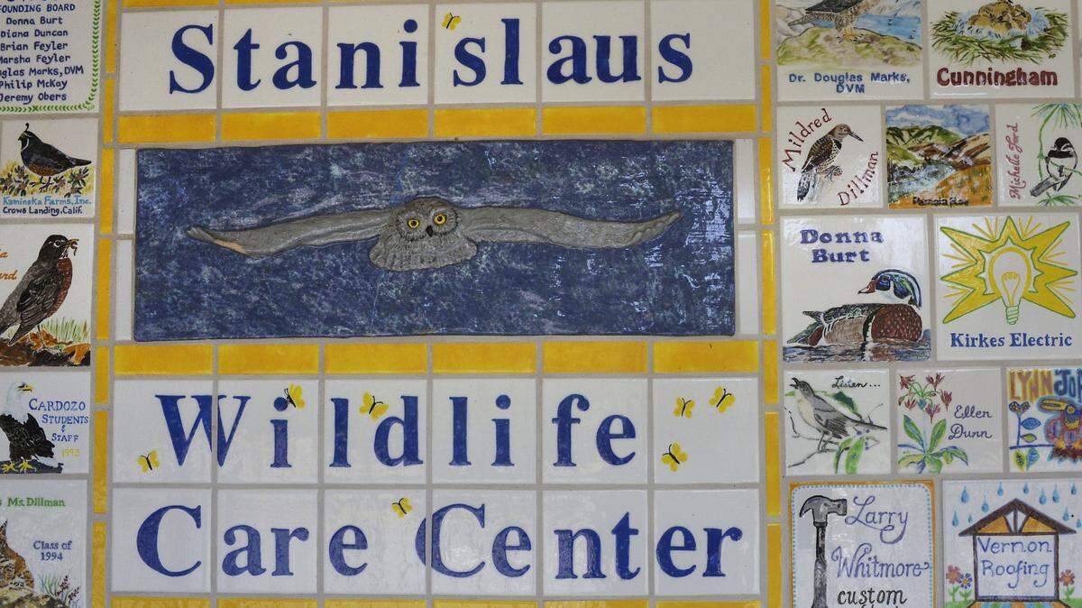 The tiled entry way at the Stanislaus Wildlife Care Center at Fox Grove Regional Park, Hughson