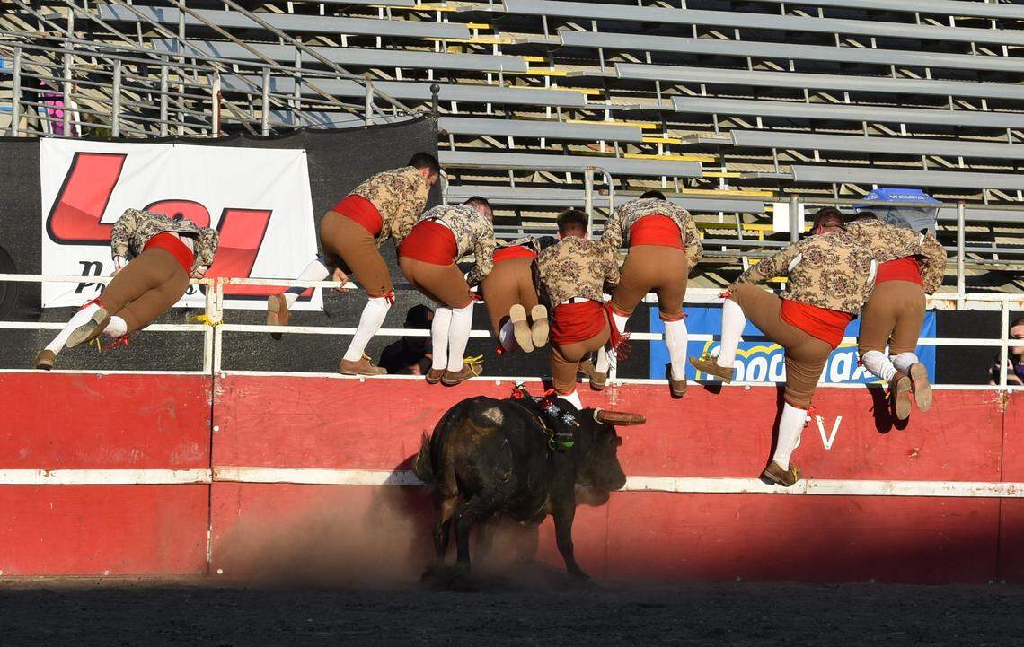 A charging bull had forcados climbing the wall of the FoodMaxx Arena at the Stanislaus County Fairground on Sunday evening, July 7, 2024.
