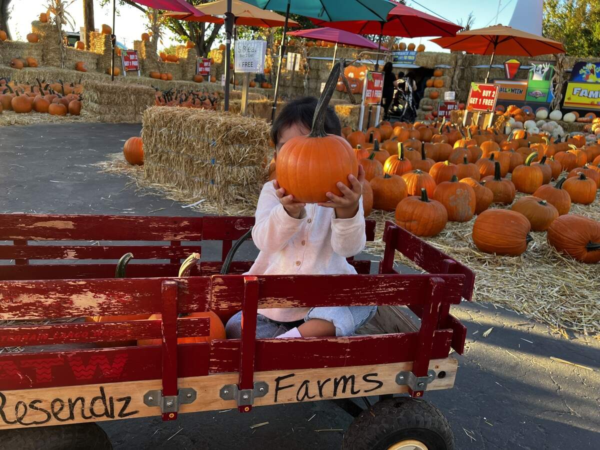 As part of The Modesto Bee’s On A Budget series, I stopped by Resendiz Family Fruit Barn in Hughson to see just how much fall fun I could enjoy with $25 to spend.