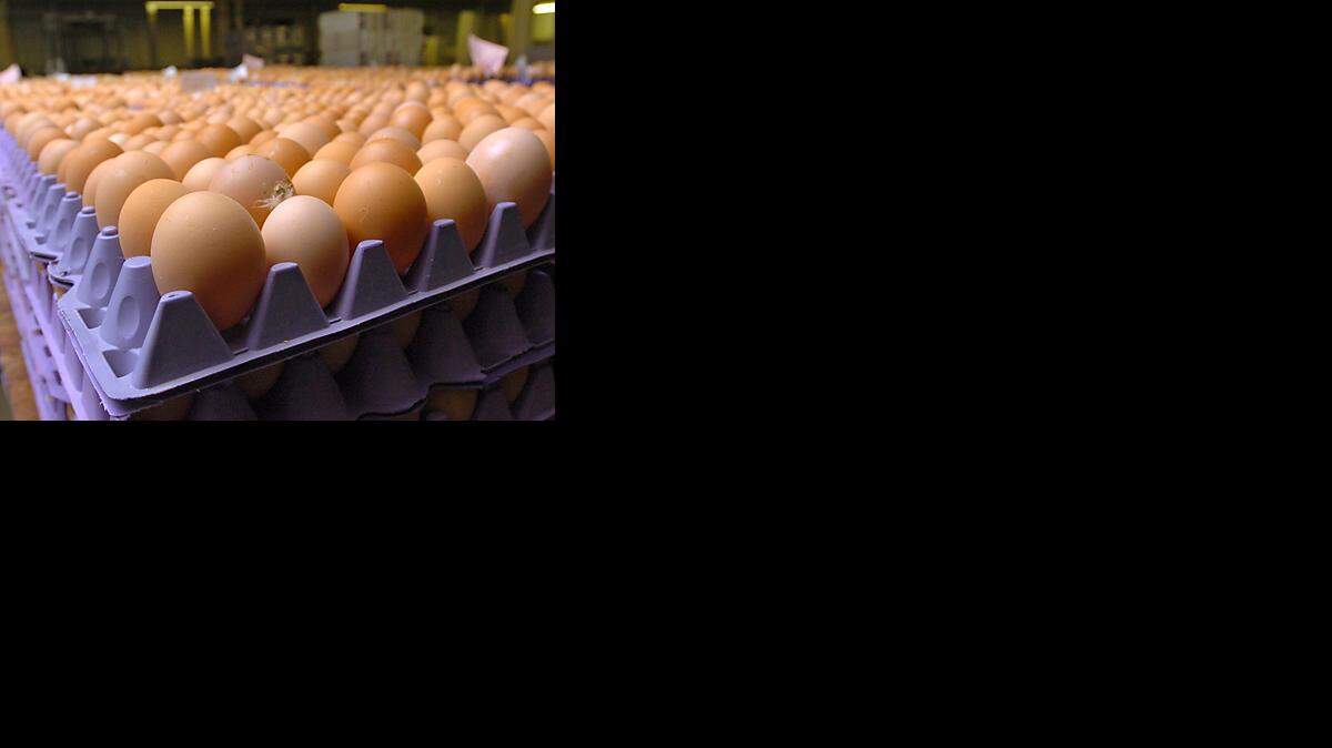 eggs