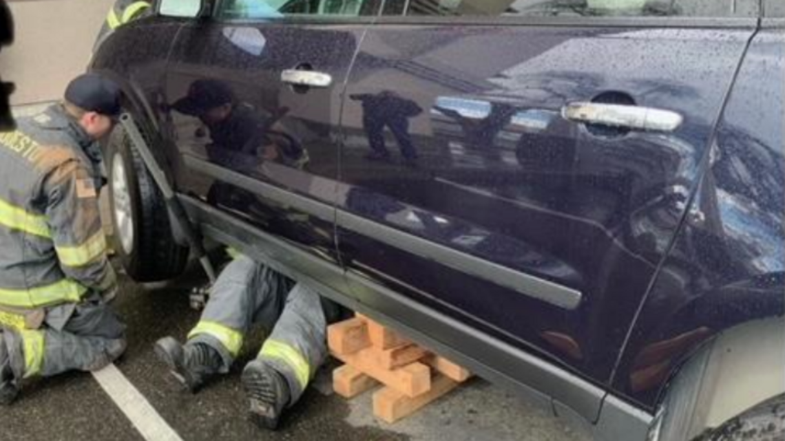Cat survives 7-mile drive in engine compartment, is rescued by Oakdale firefighters 