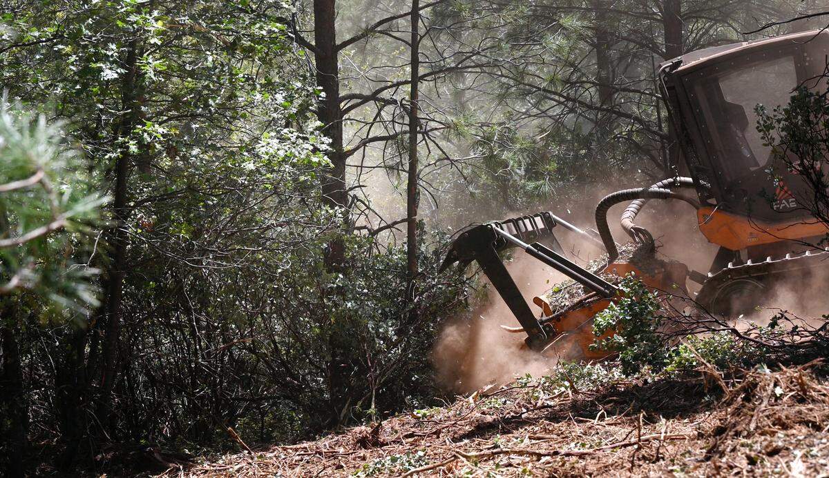 A masticator is used to “mow” dense brush to create a fuel break in the Stanislaus National Forest near Cedar Ridge, Calif., on Friday, May 20, 2022.