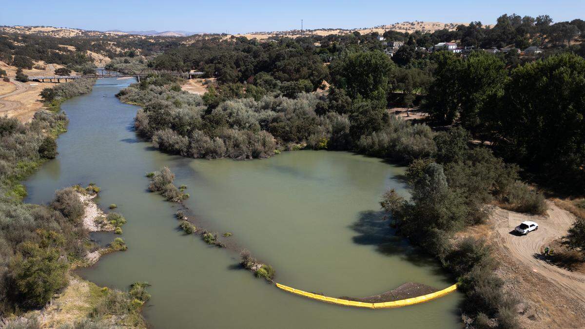 This dredging pit along the Tuolumne River, right, will be filled in to create a low flood plain as part of the Basso/La Grange floodplain and spawning habitat restoration project in La Grange, Calif., Thursday, Sept. 12, 2024. The Tuolumne River Conservancy will fill in deep pools left by past mining, where striped bass and other non-native predators can lurk.