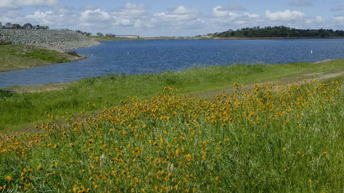 The water in Don Pedro Reservoir rose about eight feet last week.