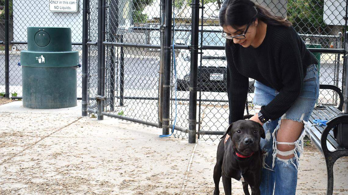 Gabby McDaniel calms Benny to get him on a leash at the Modesto Dog Park/Elk Park on Morris Avenue on Wednesday morning, May 22, 2019.