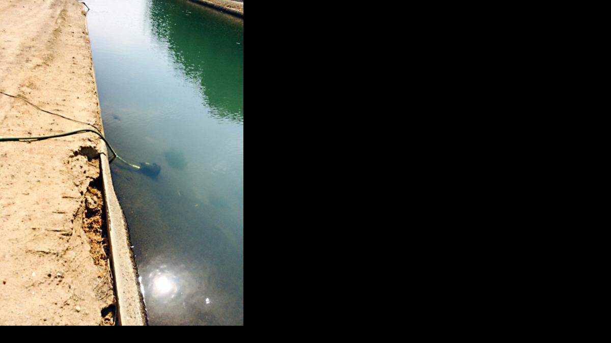 MID Illegal Water 3