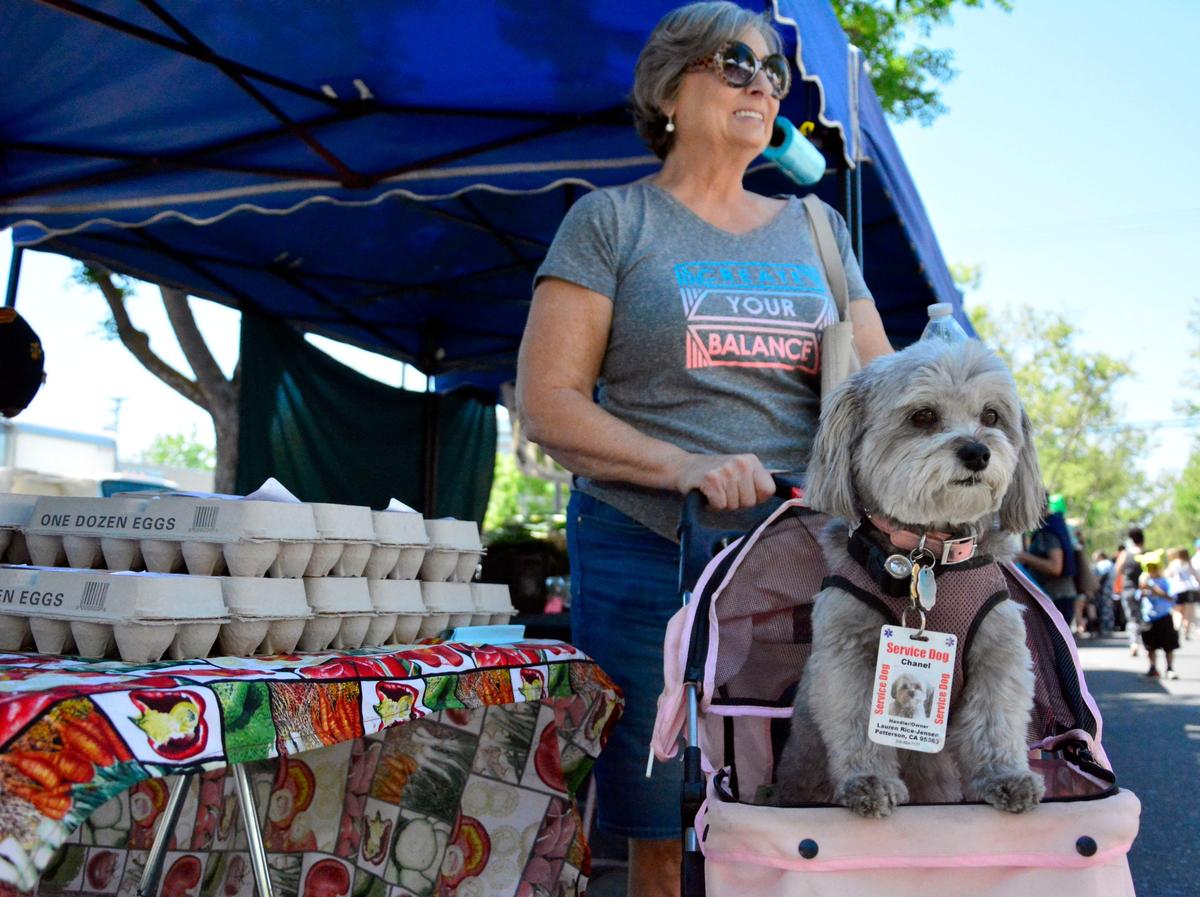Lauren Rice and her service dog Chanel shop during opening day of Turlock Certified Farmers Market and its return to Main Street in downtown Turlock, Calif. May 4, 2019.