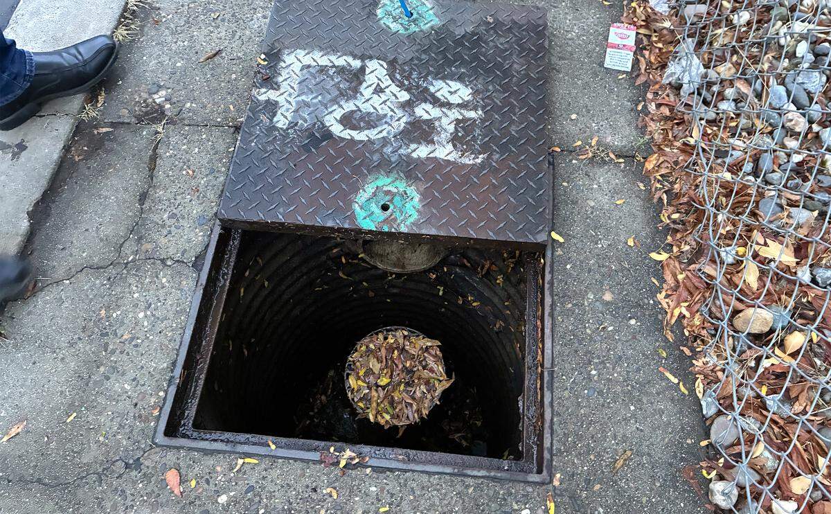 A removed grate reveals a rock well covered in fall leaves in a Modesto neighborhood on Oct 14.