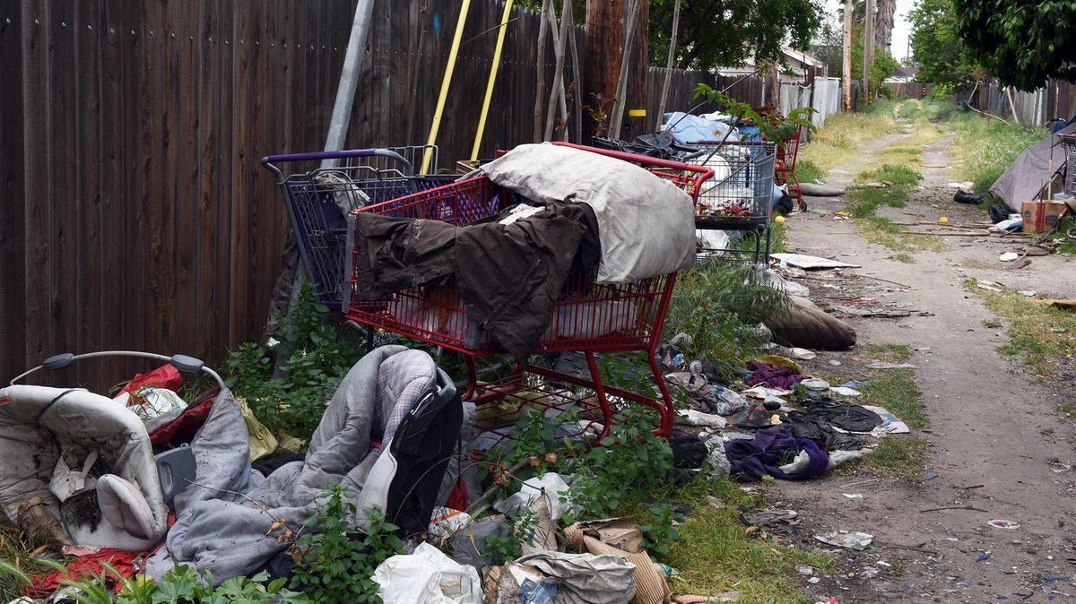 Trash fills an alley on Midway avenue near Dover avenue in the Parklawn neighborhood of Modesto Monday April 15, 2019.