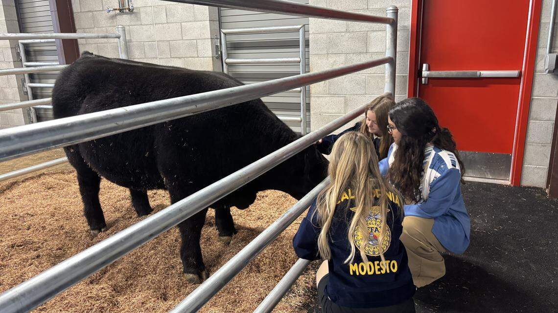 Modesto High, among first in state to have an ag program, finally gets a farm