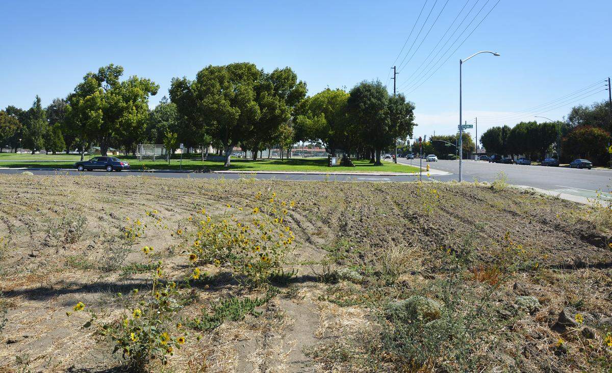 Memo’s Cocina & Tequila Bar in downtown Turlock, Calif. is opening a new location in north Modesto. Pictured the spot of the new construction at the corner of Sylvan Avenue and Forest Glenn Drive in Modesto on Sept. 25, 2019.