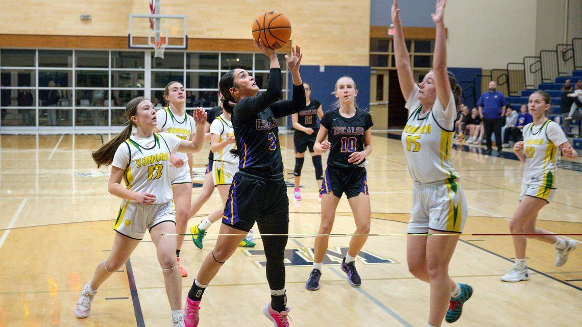 Final basketball rankings: Girls D-IV playoff bracket features loaded local field