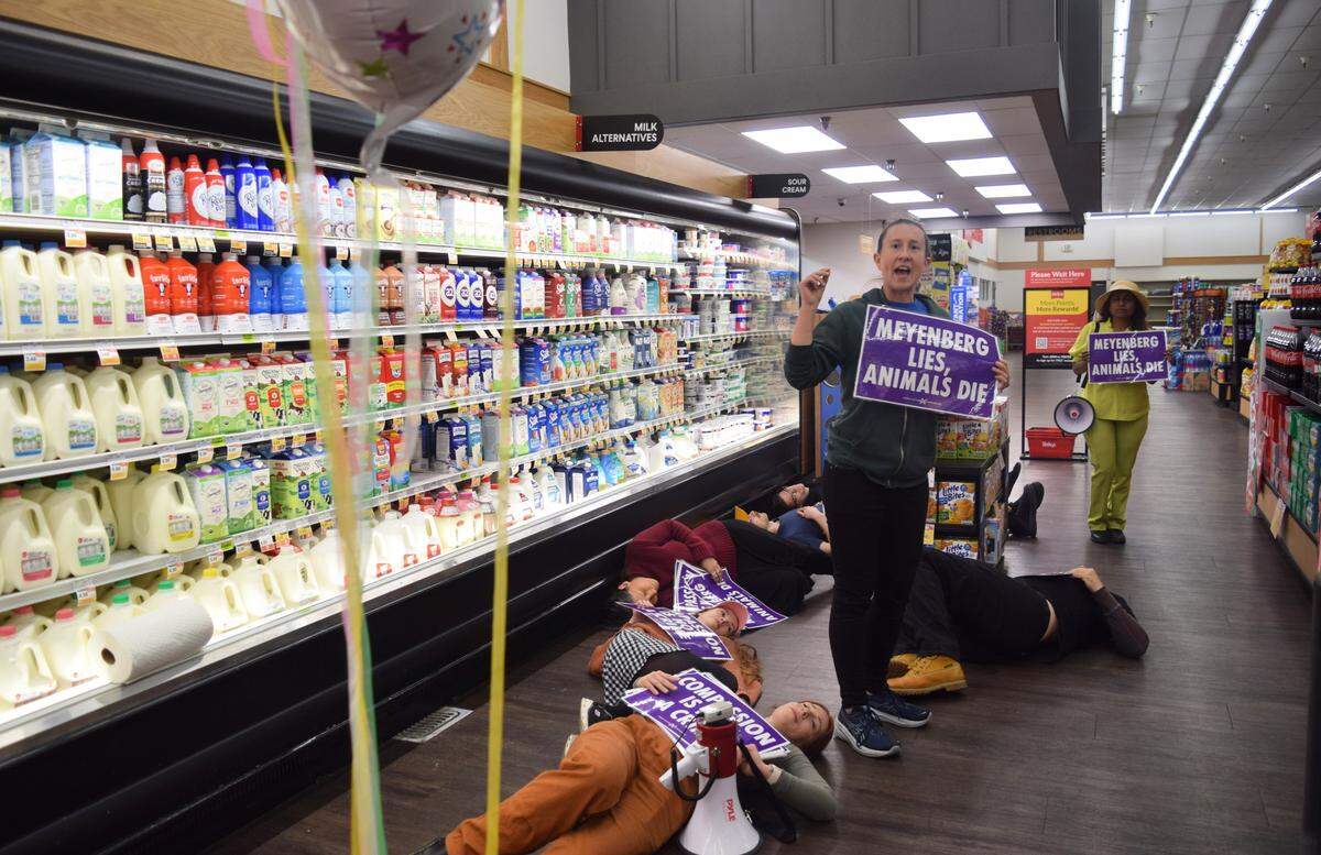 Protesters with Direct Action Everywhere stage a die-in in front of the dairy aisle at a Raley’s in Turlock on April 11, 2026, in protest of Meyenberg.