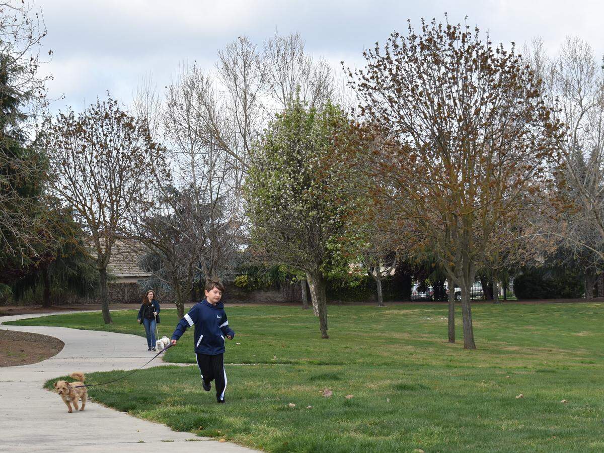 A boy and his mom walk their dogs in Coffee-Claratina Park in north Modesto on Monday, March 23, 2020.