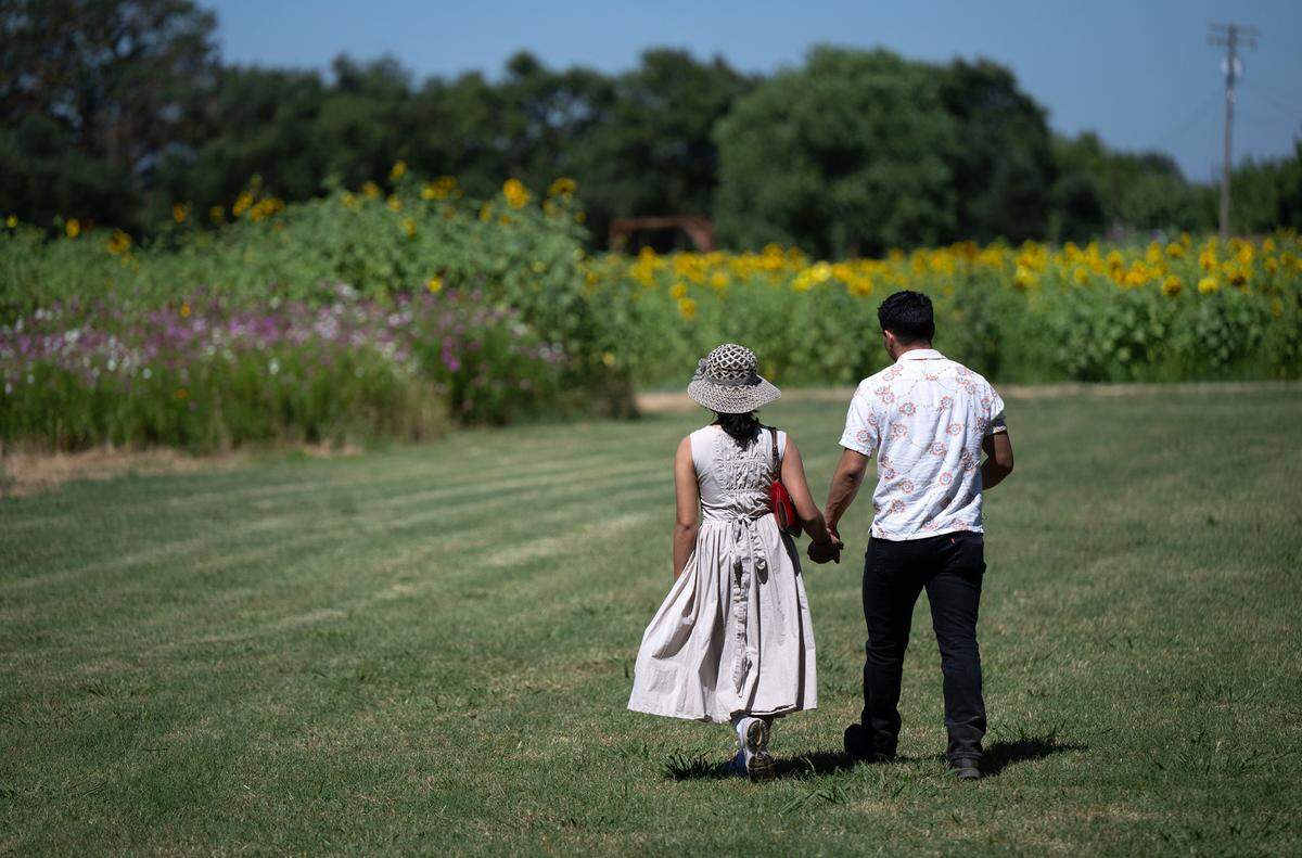 Isaac Flores and Jocelyn Lao of Modesto walk out the flower gardens at Old Tim Bell Farm in Waterford, Calif., Friday, June 28, 2024.