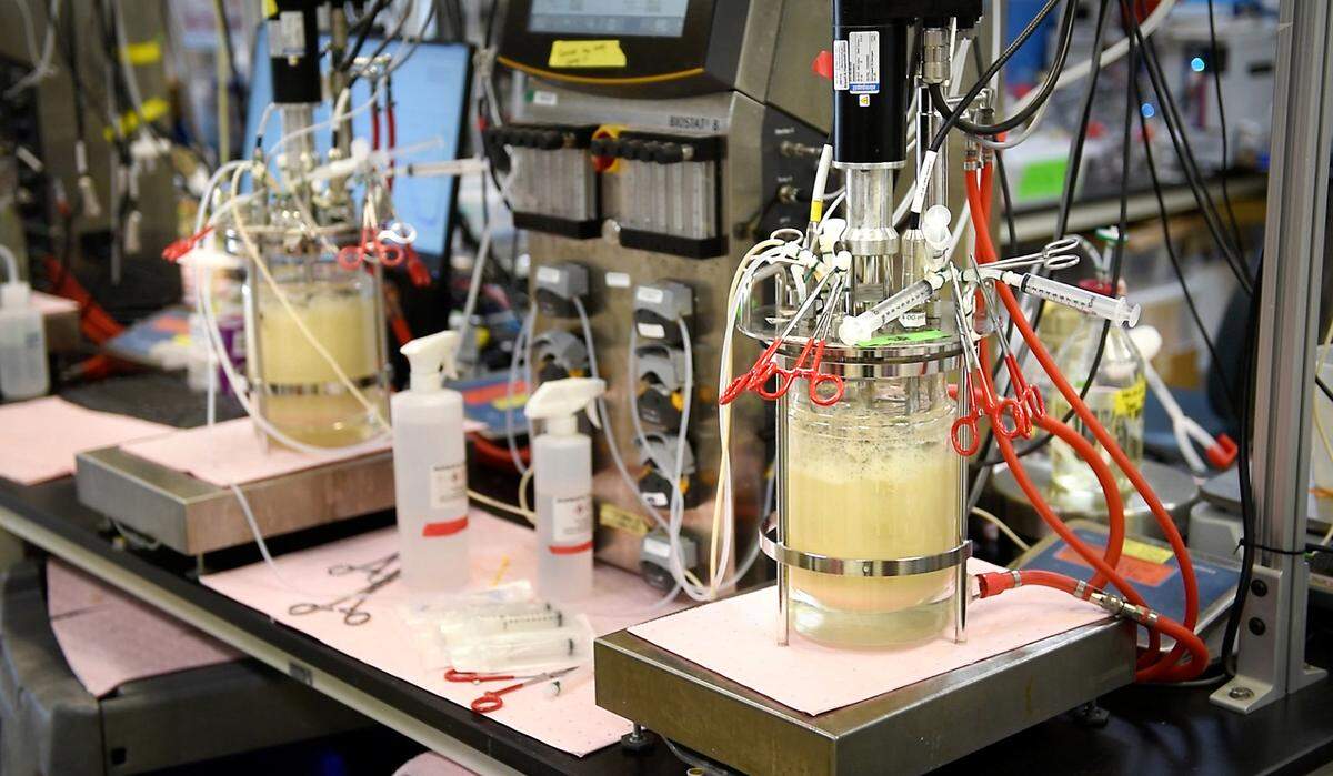 Testing at Advanced Biofuels and Bioproducts Process Development Unit (ABPDU) at the Lawrence Berkeley National Laboratory in Emeryville, Calif., Thursday, Feb. 2, 2023.
