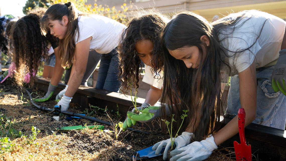 New program cultivates kids’ gardening skills and ties to Stanislaus County agriculture