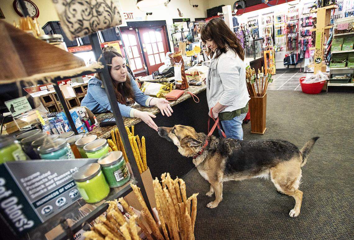 Cindy Ross and her dog Nora pick up some food with the help of Pet’s Choice employee Ellen Sprague in Modesto, Calif., on Saturday, April 4, 2020. Grocery stores and large retailers arenÕt the only companies still open in Modesto and the Central Valley of California due to the global COVID-19 crisis. Other small stores, shops and services are struggling.