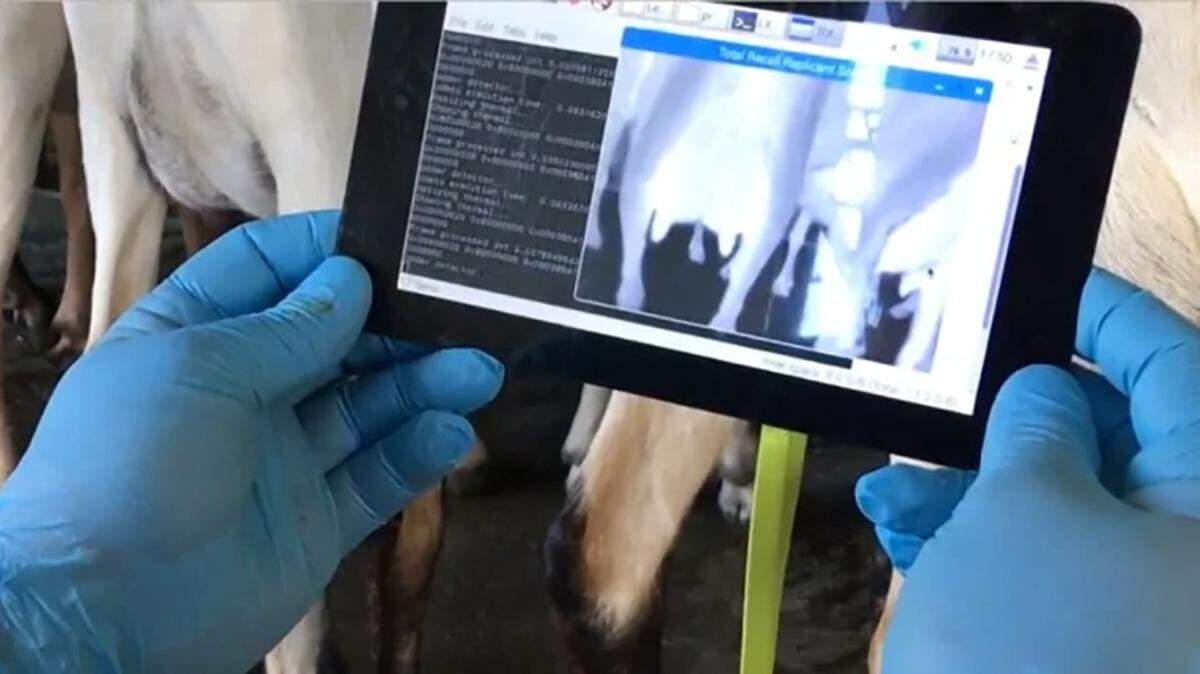 A dairy cattle monitoring system from EIO Diagnostics is among the products to be discussed at a summit on technology in agriculture in Modesto, California, on Feb. 7, 2019.