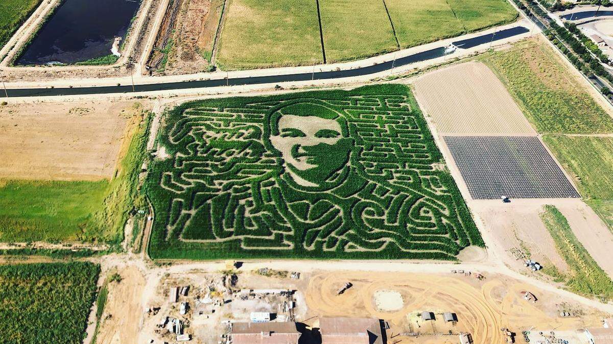 The Stanislaus County Sheriff’s Department’s Air 101 shot this photo of this season’s Dutch Hollow Farms corn maze in Modesto, which pays tribute to slain Newman Police Department Cpl. Ronil Singh.