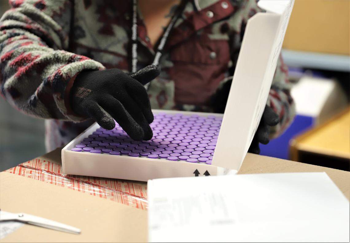 A Stanislaus County official Thursday mornings counted the Pfizer BioNTech COVID-19 vaccines that arrived in Modesto on Thursday, Dec. 17, 2021.