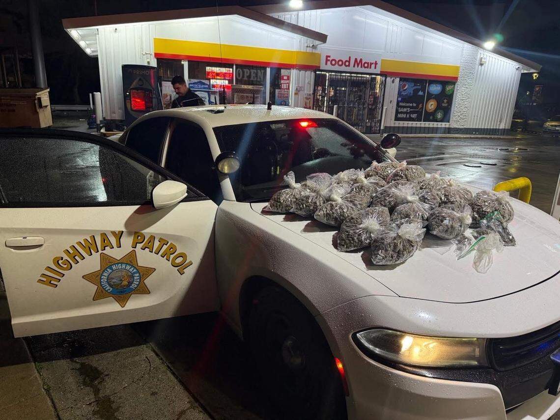 La marihuana incautada durante un control de tráfico por la Patrulla de Carreteras de California en Modesto se exhibe sobre el capó de un vehículo patrulla de la Patrulla de Carreteras de California.