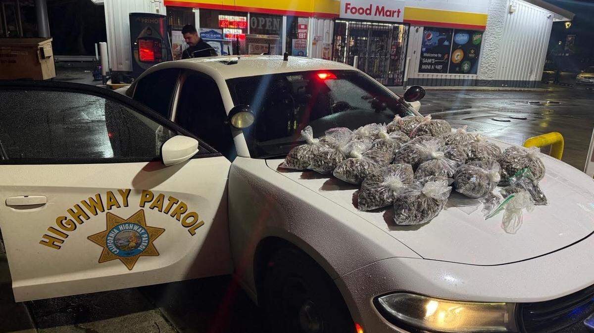 Marijuana seized during a traffic stop by the California Highway Patrol in Modesto is displayed on the hood of a CHP patrol vehicle.