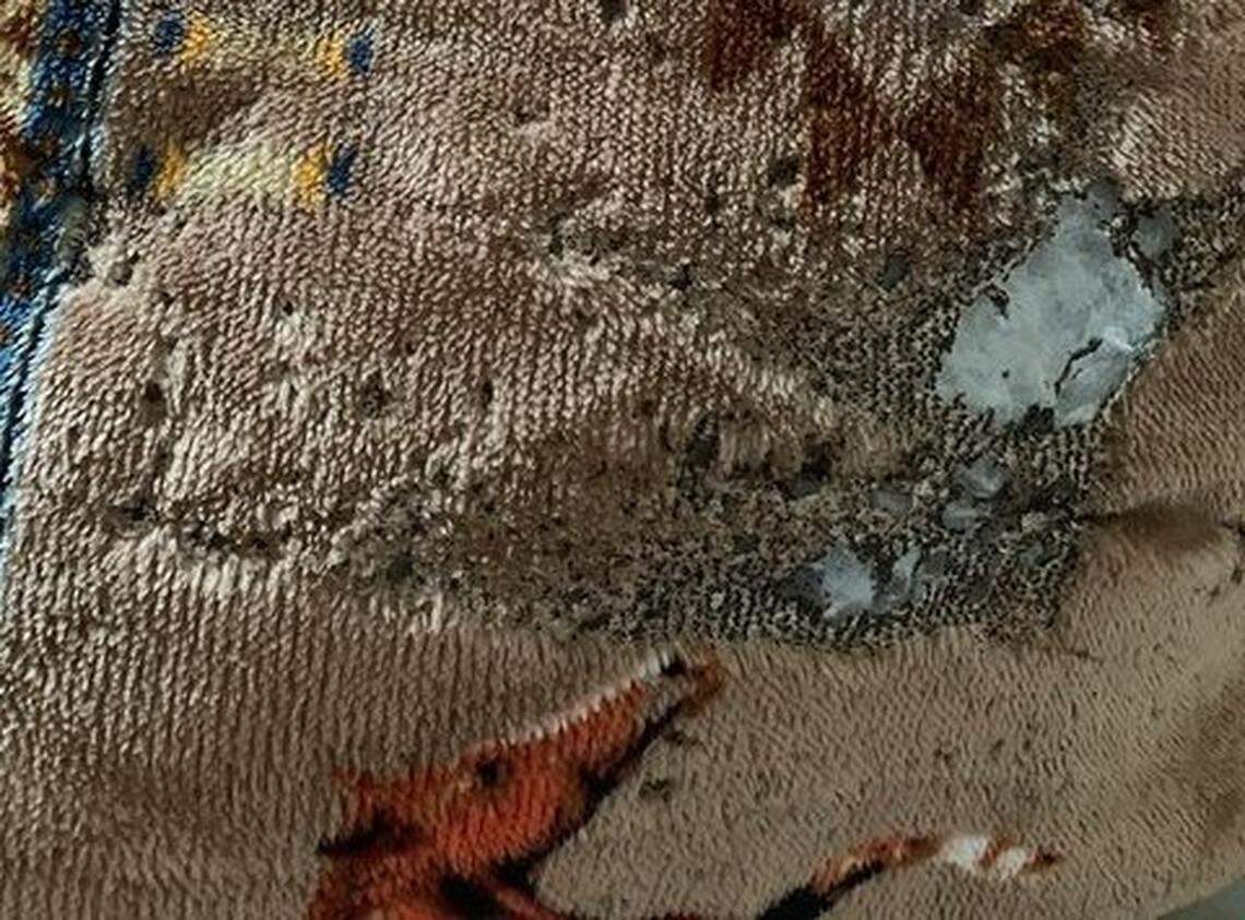 The exploding charger burned holes through the cover of Colton Pingree’s comforter.