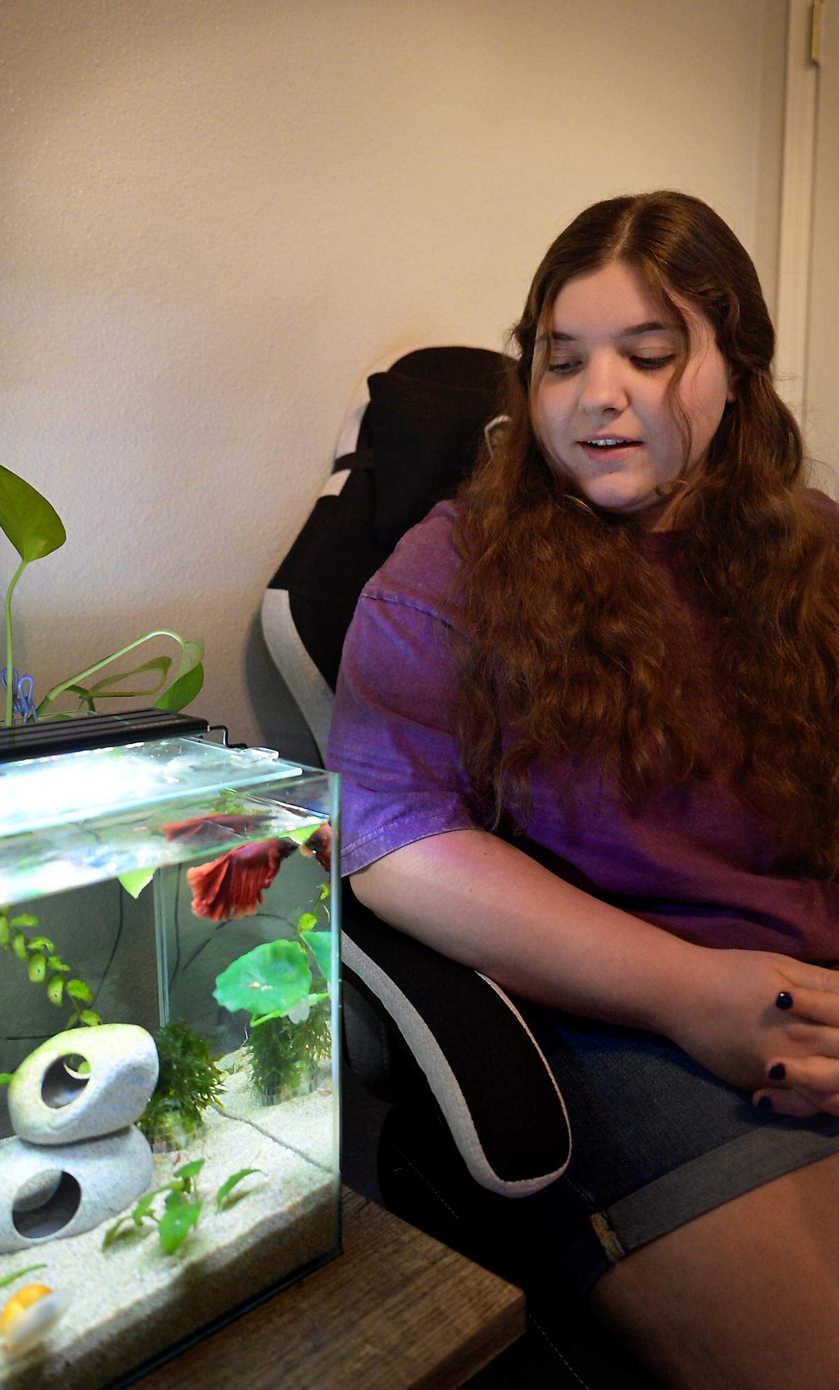 Maddy Haflich adopted “Cherrybomb” from Turlock Animal Services after it was found abandoned in a storage unit. 