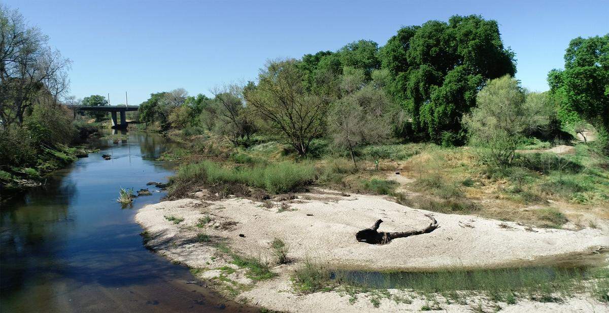 The Tuolumne River near the confluence with Dry Creek in Modesto, Calif., on Tuesday, March 22, 2022.