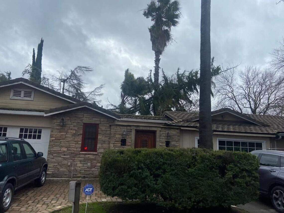 Modesto Fire Department Battalion 1 responded when a tree fell on March 14, 2023.