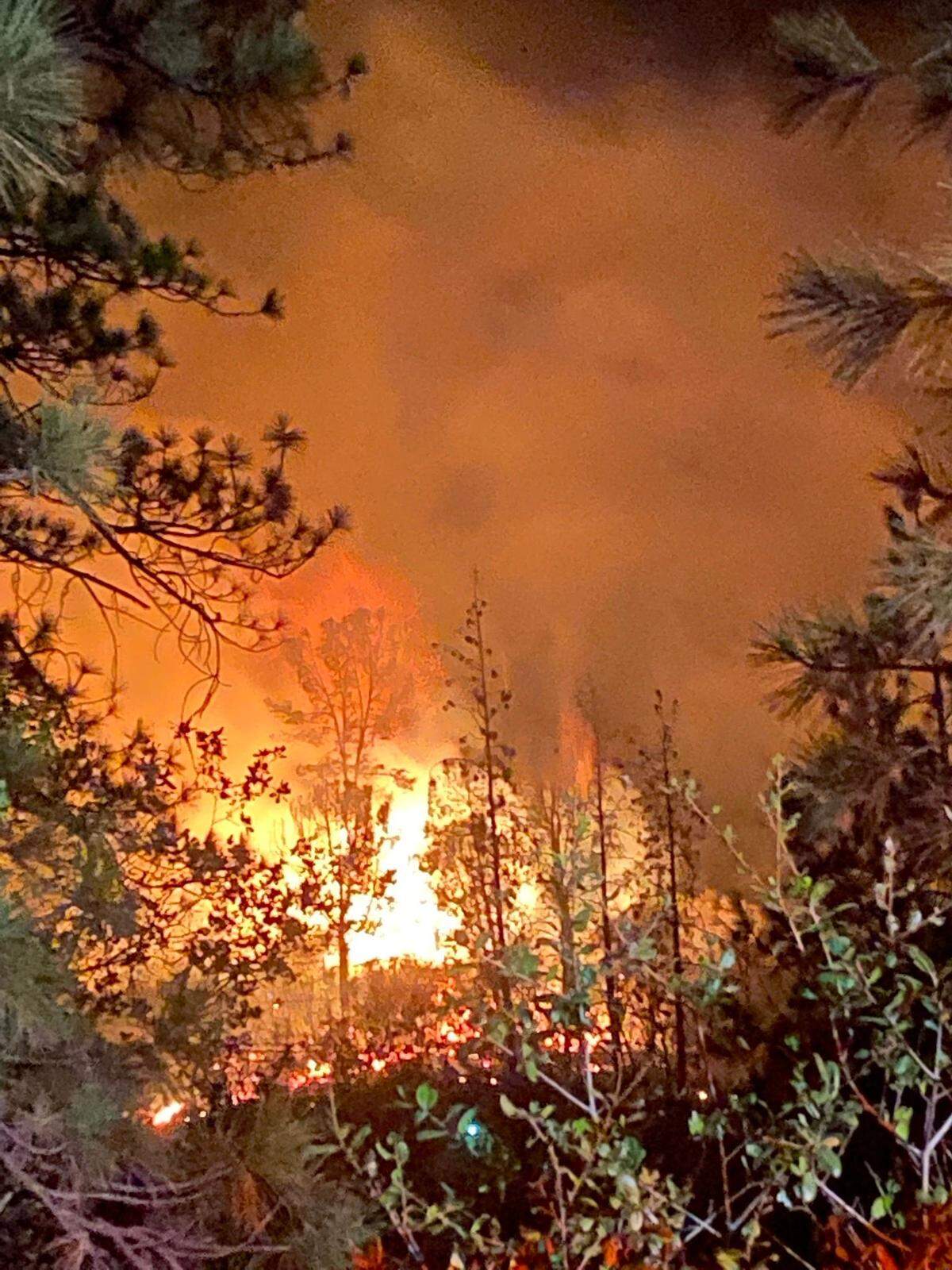The Woods fire was reported at 8:40 p.m. at Highway 108 and Stockton Road in Sonora