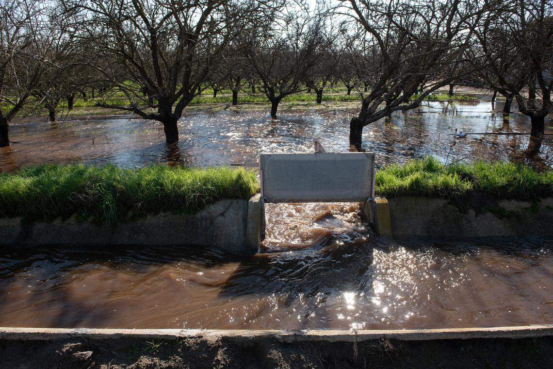 Storm water is diverted from a Turlock Irrigation District canal to flood an almond orchard at the Gemperle family farm near Keyes, Calif., Wednesday, Jan. 18, 2023.