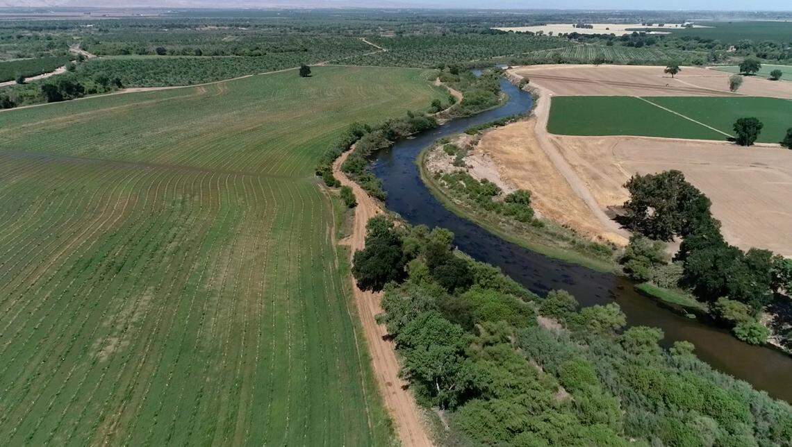 Tuolumne River passes through newly planted Dos Rios Ranch near Modesto, Calif., on Friday, May 7, 2021. River Partners has planted more than 350,0000 native trees (willows, cottonwoods, oaks) and shrubs so far.