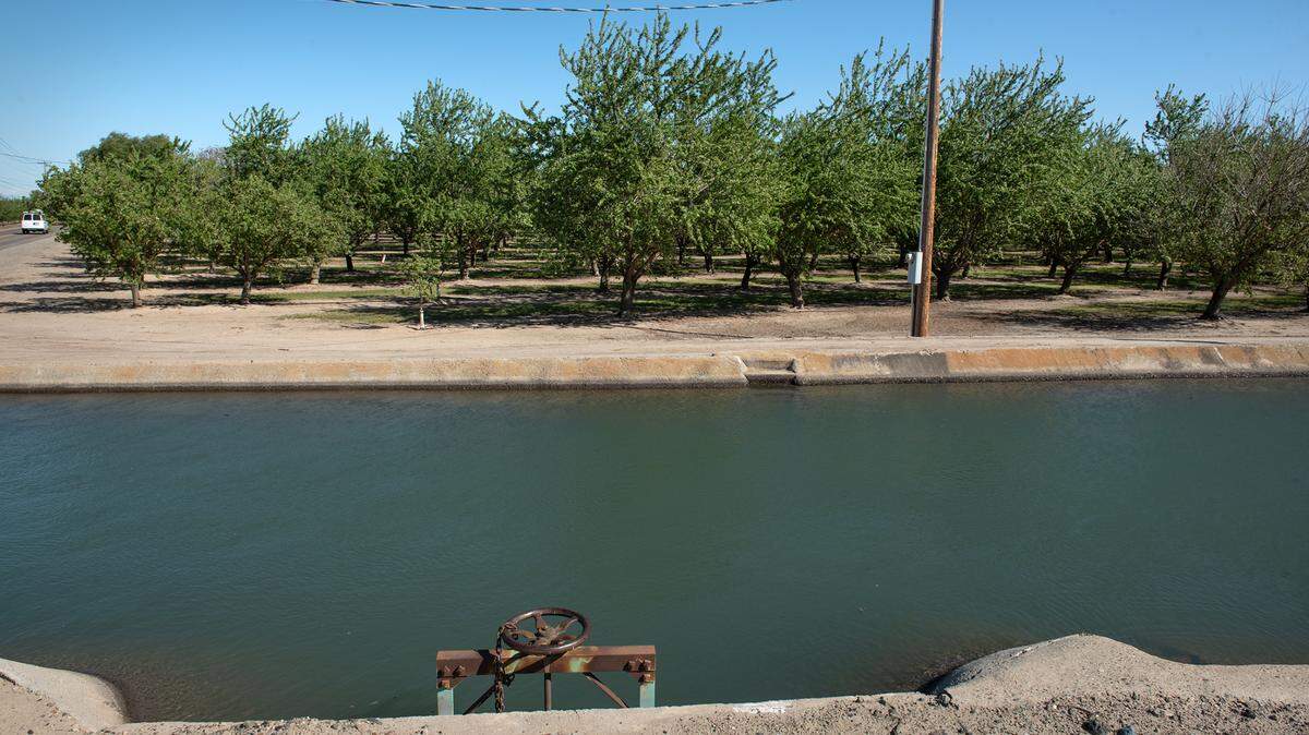 Irrigation canal at Blue Gum Road in Modesto in March 2021.