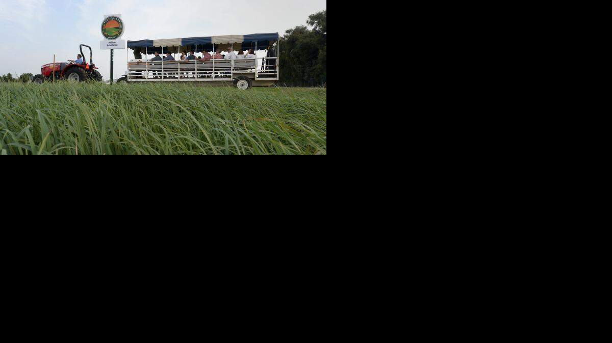 DN Farm to Table