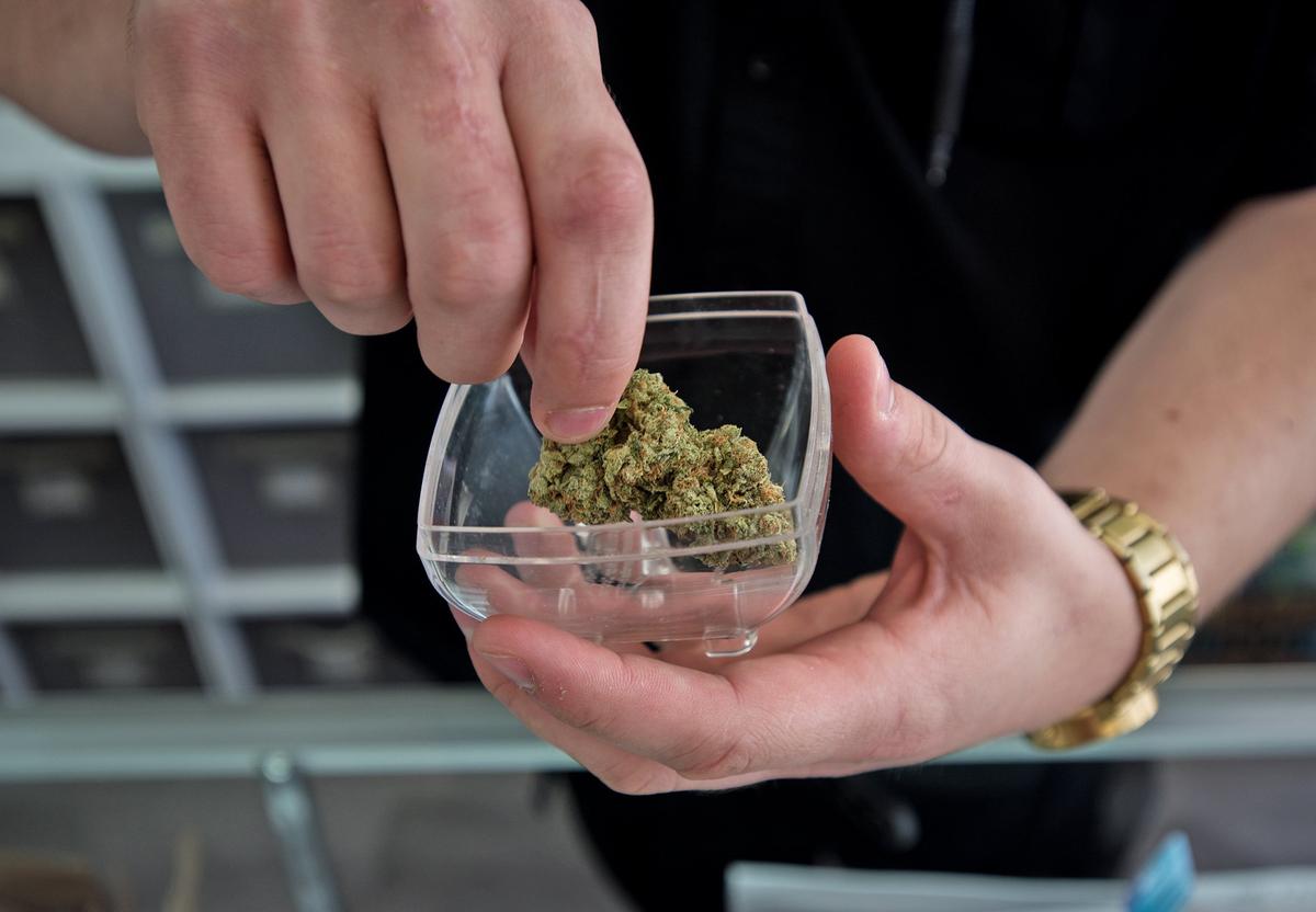 Michael Morris shows cannabis flower at the The People’s Remedy marijuana dispensary in Oakdale in 2018.