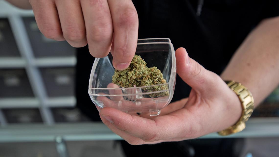 The marijuana industry is hiring. New data shows 1,242% spike in California job postings