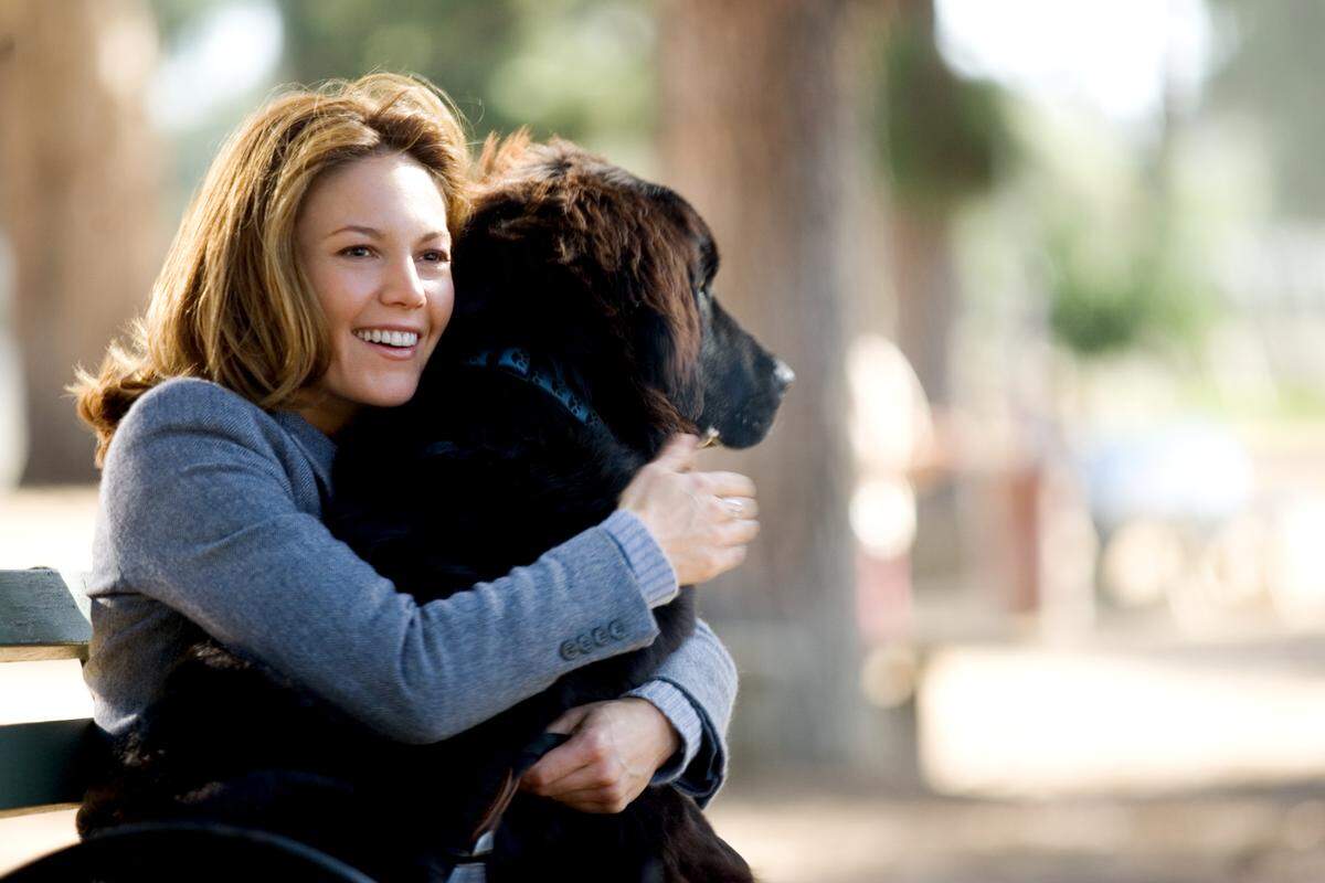 Diane Lane stars in the romantic comedy “Must Love Dogs.”