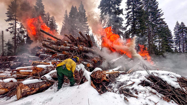 Valley air advocates question plan to generate power with wood pellets from Tuolumne forest