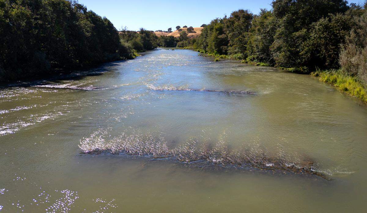 Gravel beds are being created in the Tuolumne River bed to give salmon shallow rocky areas for spawning as part of the Basso/La Grange floodplain and spawning habitat restoration project in La Grange, Calif., Thursday, Sept. 12, 2024.