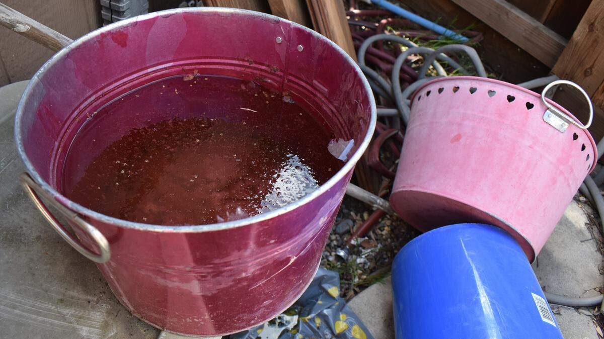 The Turlock and East Side mosquito abatement districts urge residents to dump and drain standing water around their properties to prevent mosquitoes from becoming established.