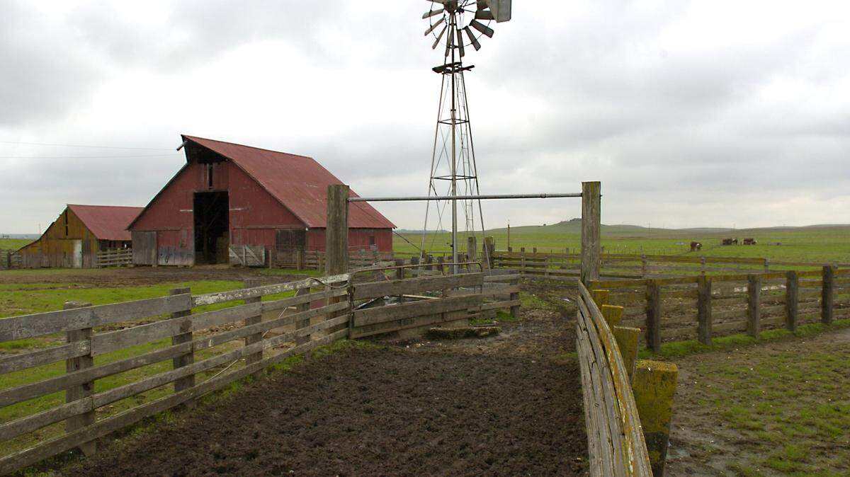 Barns and a windmill are pictured on Bruce Orvis’s ranch on Thursday afternoon (01-12-06) located on Highway 4 about 10 miles east of Farmington. Orvis plans to place his land north of Oakdale under a conservation easement which would keep it in agriculture indefinitely. Modesto Bee/ Joan Barnett Lee