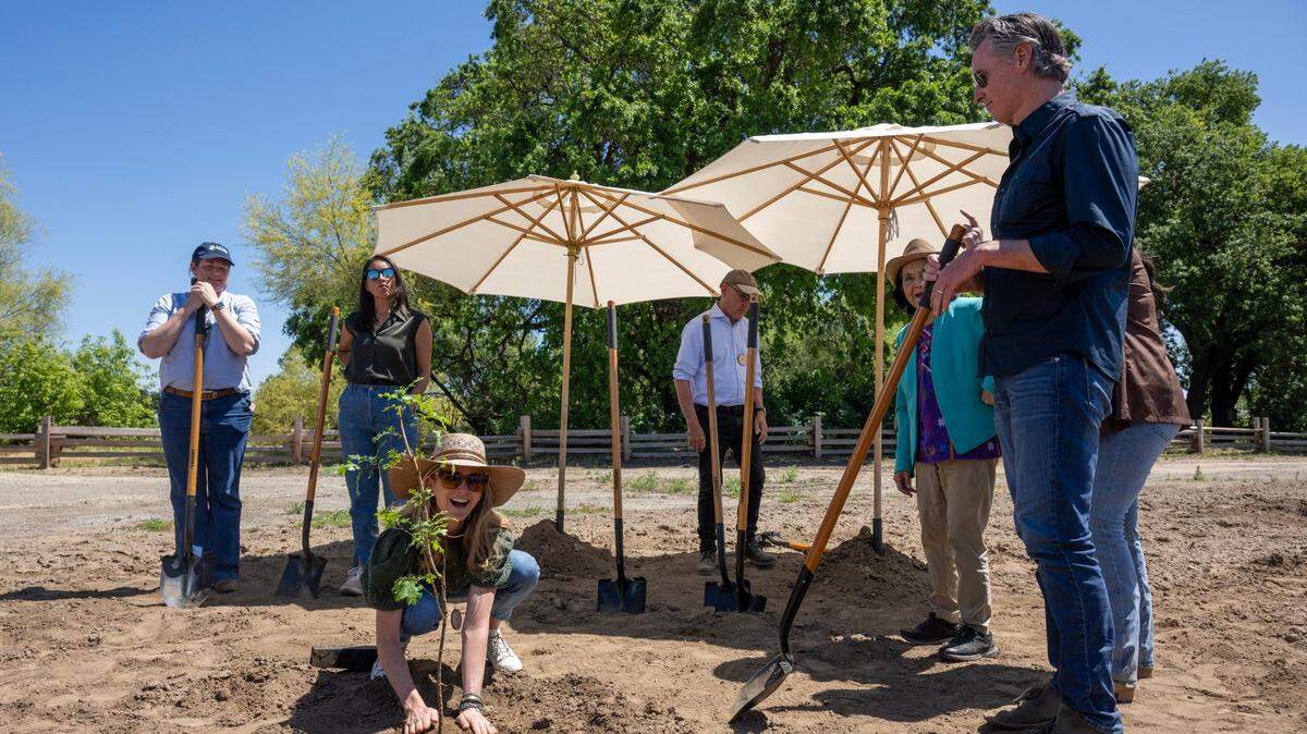 El Gobernador Gavin Newsom y su esposa  Jennifer Siebel Newsom plantan un roble del valle durante la inauguración del nuevo Parque Estatal Dos Ríos, al oeste de Modesto, el lunes.