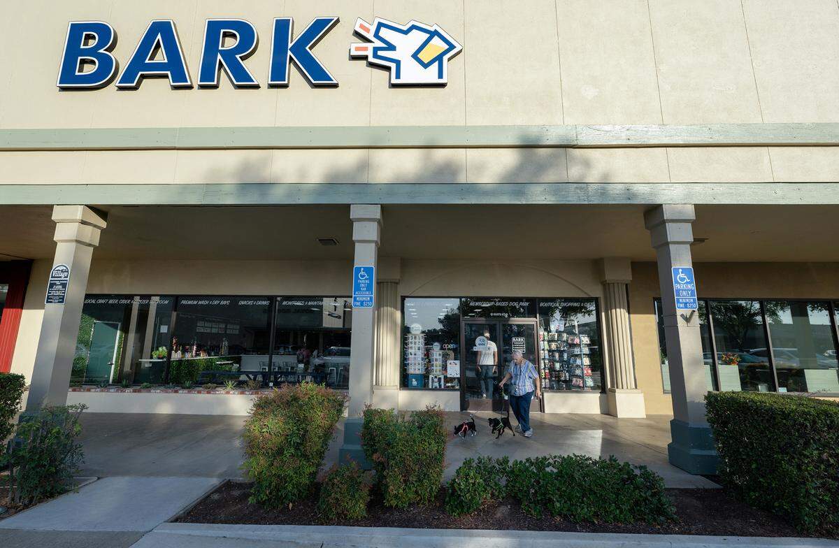 Bark indoor dog park and tap room in Modesto, Calif., Thursday, Oct. 19, 2023.