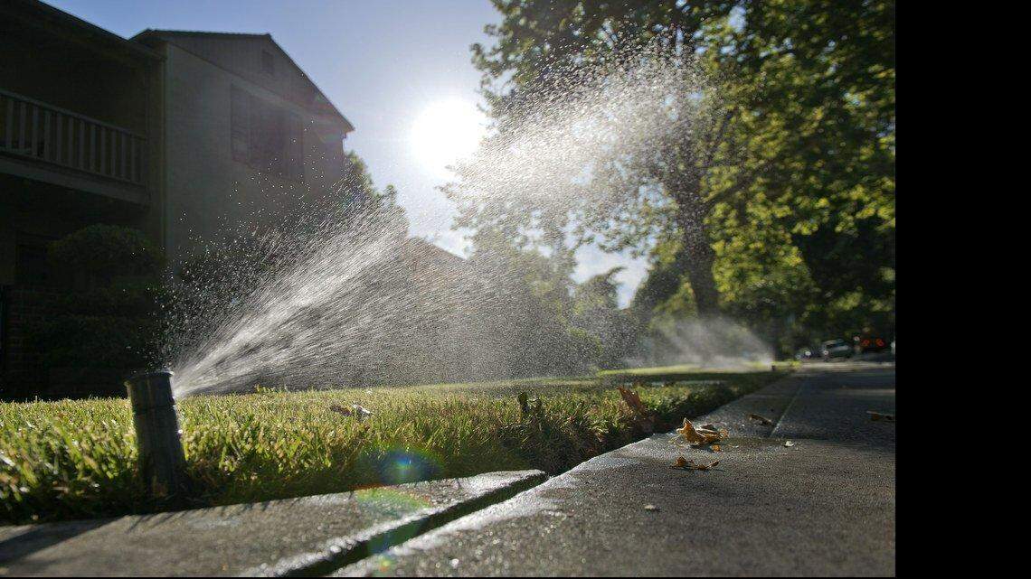 Can I report my Modesto neighbor for watering lawn on a wrong day? See new rules